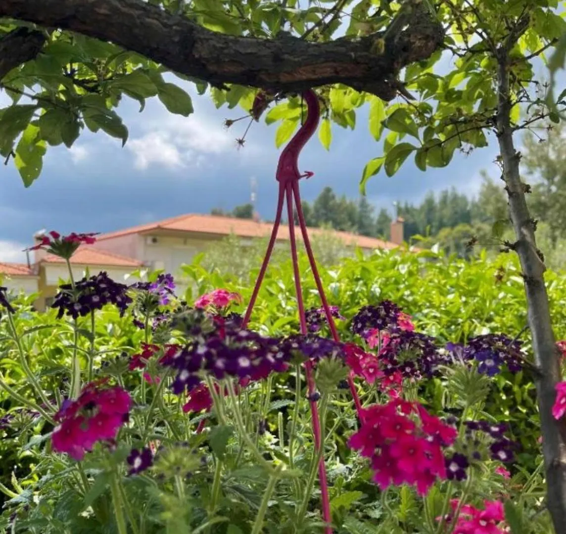 Hotel Sun Sight Pefkochori Apartment